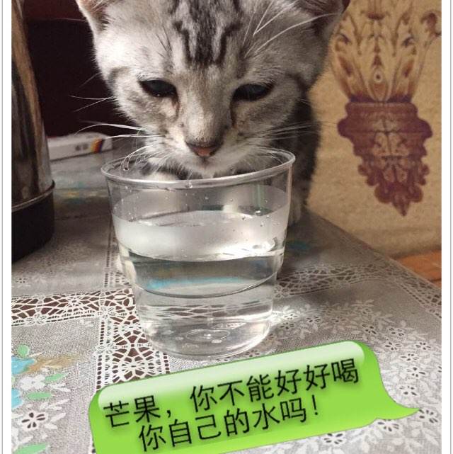 购买假日本岐阜医疗科学大学文凭毕业证